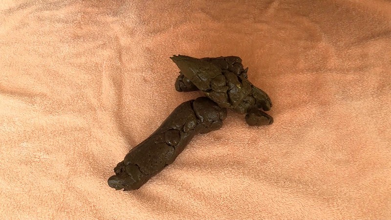 サンプル画像 5