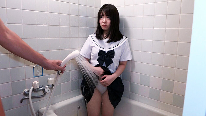 サンプル画像 12