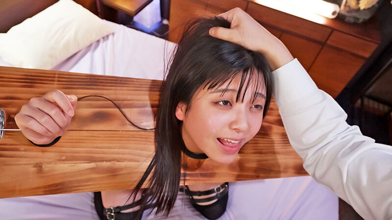 サンプル画像 9