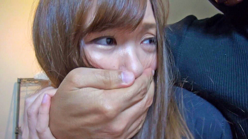 サンプル画像 11