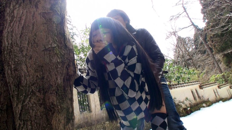 サンプル画像 4