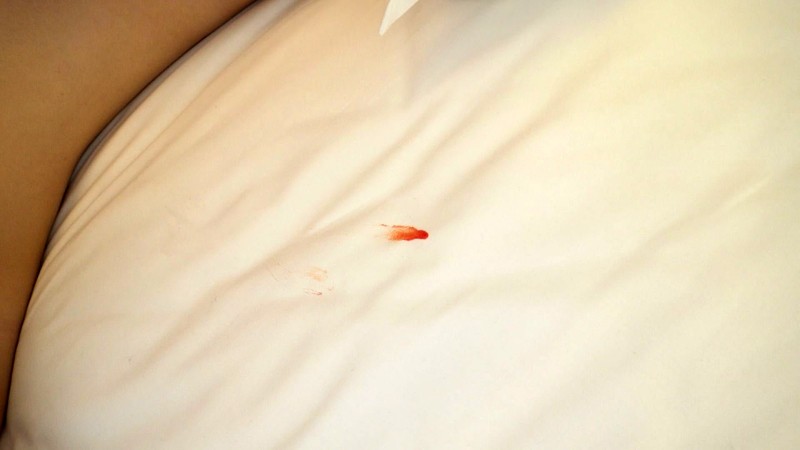 サンプル画像 4