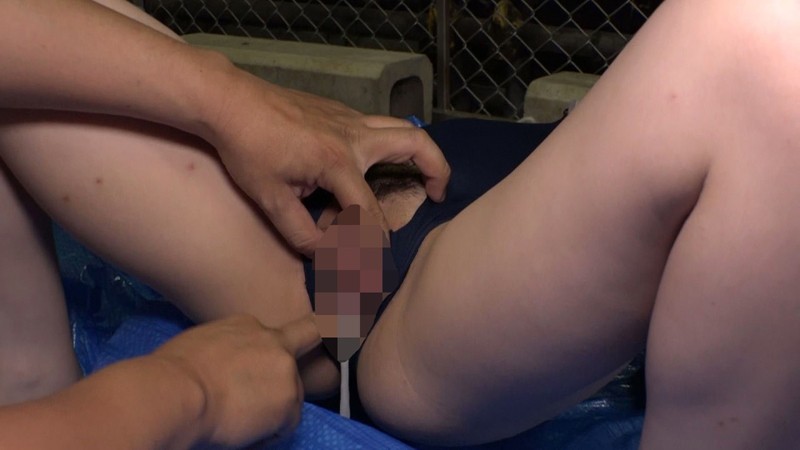 サンプル画像 13