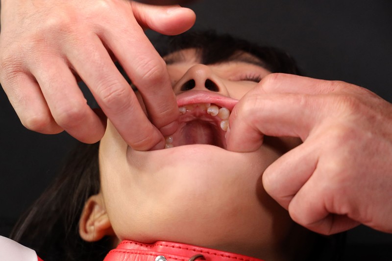 サンプル画像 8