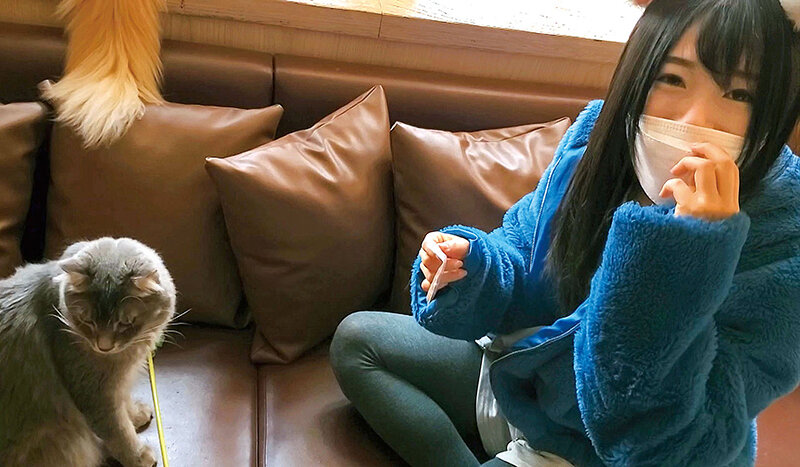 サンプル画像 3