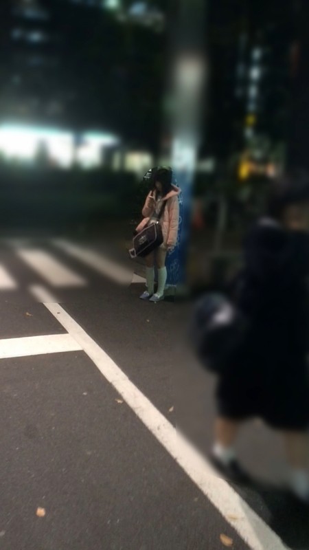 サンプル画像 15