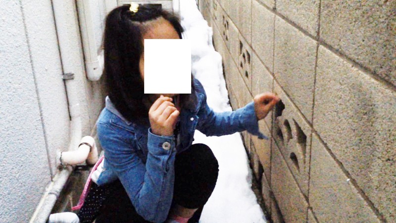 サンプル画像 5