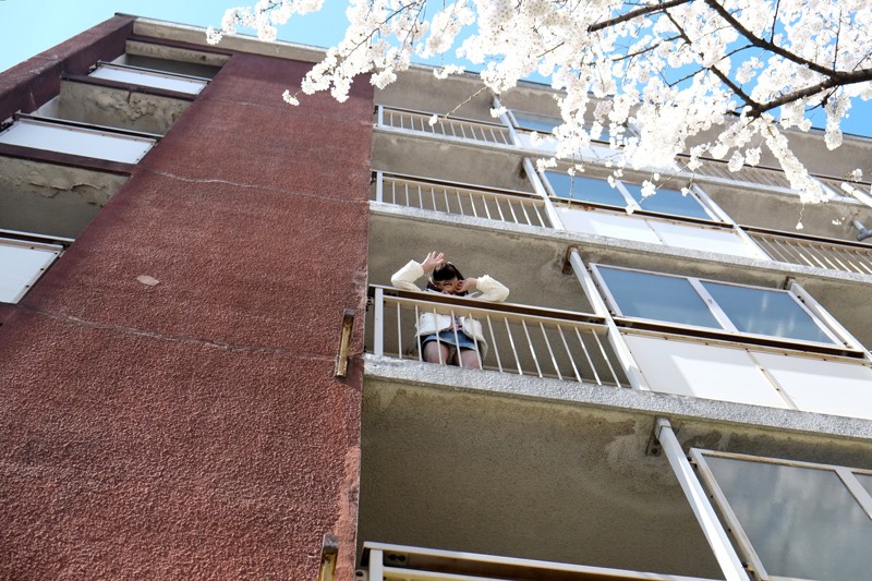 サンプル画像 12