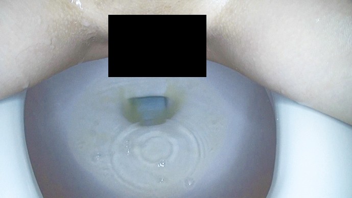 サンプル画像 15