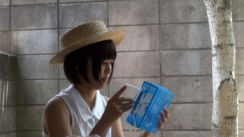 サンプル画像 10