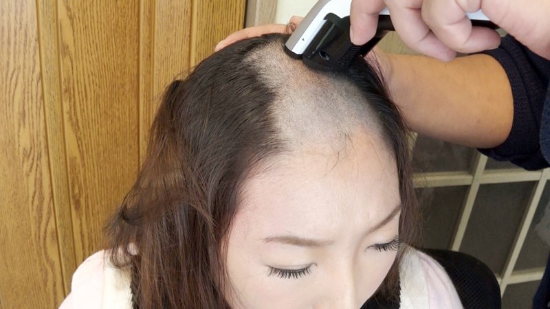 サンプル画像 13