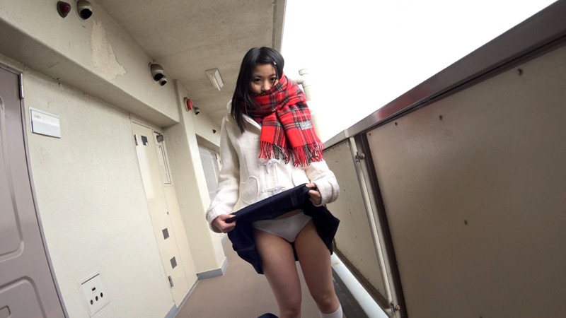 サンプル画像 5