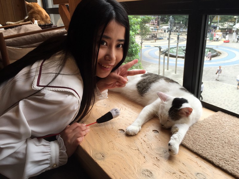 サンプル画像 2