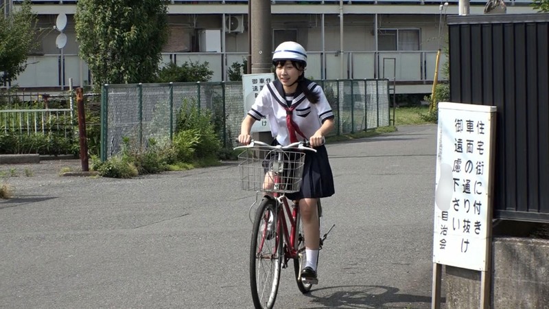 サンプル画像 2