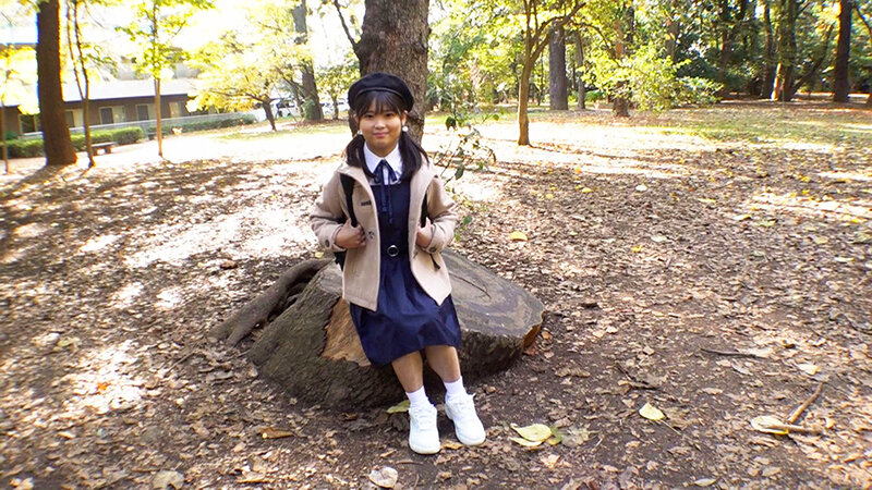 サンプル画像 5