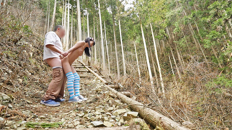 サンプル画像 12