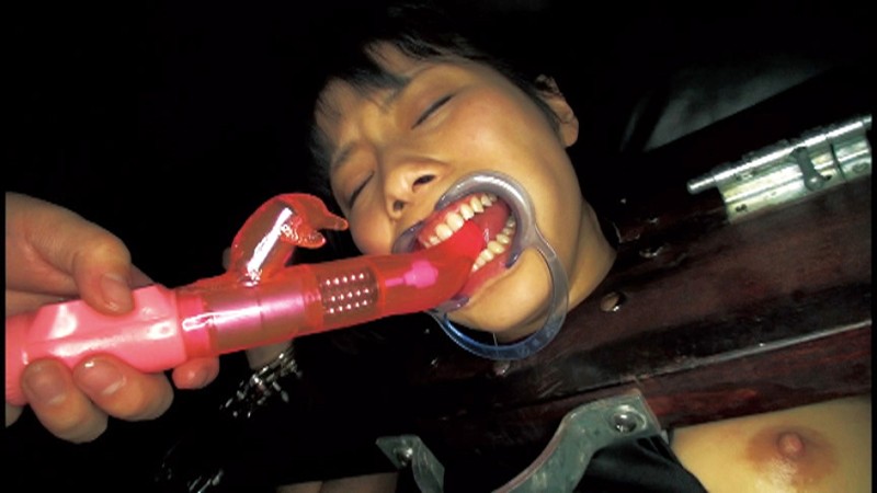 サンプル画像 3