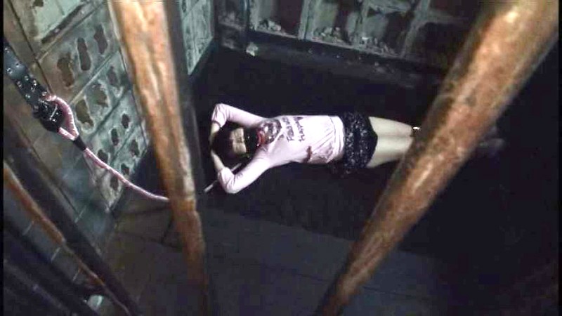 サンプル画像 13