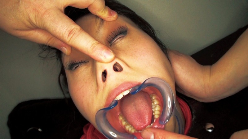 サンプル画像 13