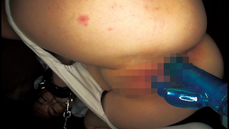 サンプル画像 4