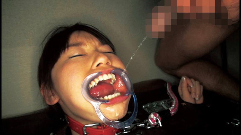 サンプル画像 8