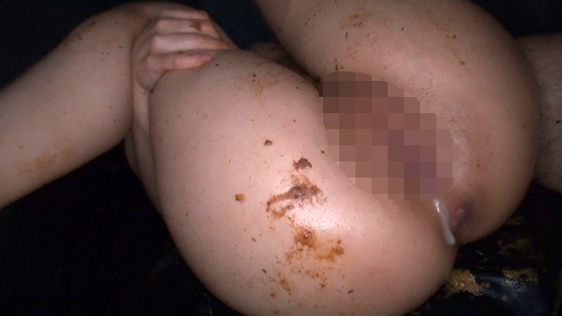 サンプル画像 16