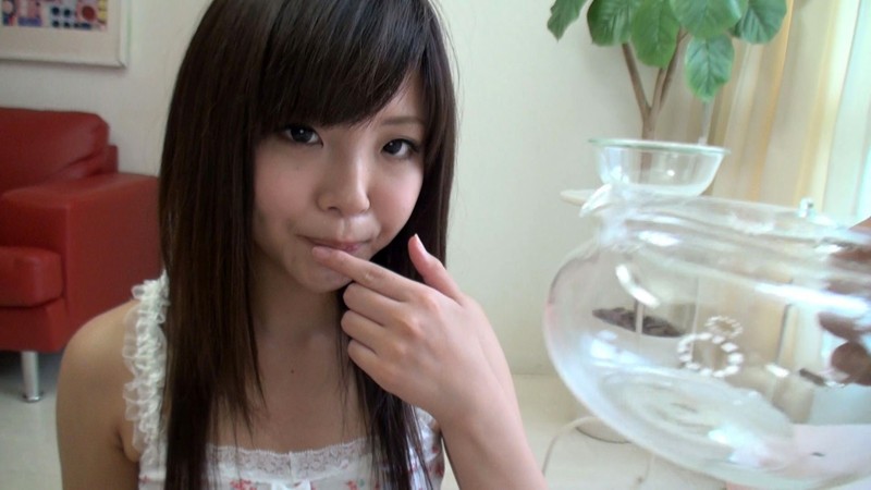 サンプル画像 14