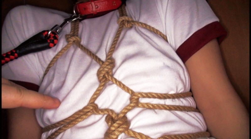 サンプル画像 9