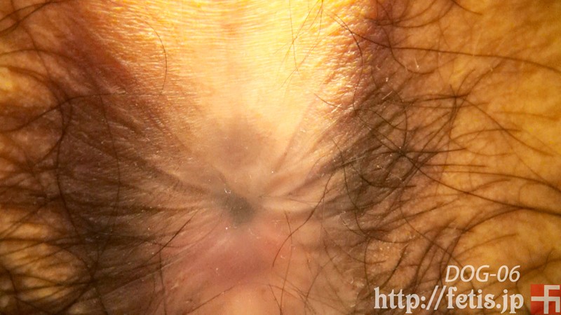 サンプル画像 4