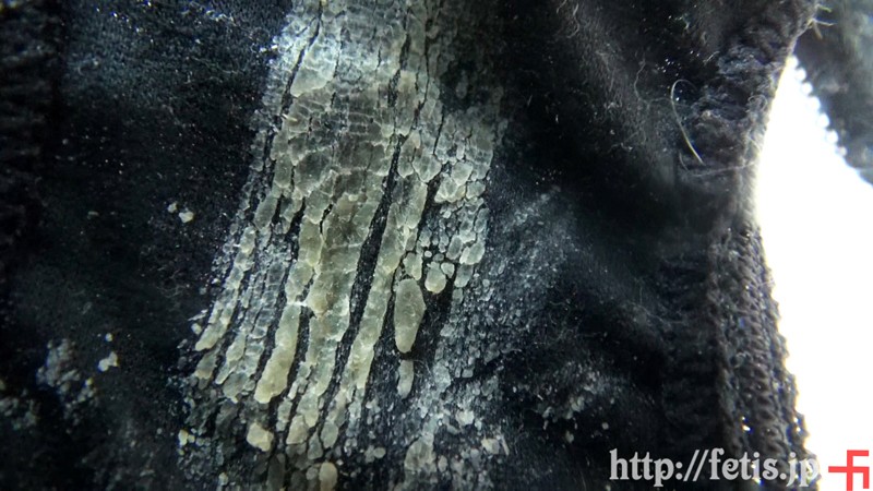 サンプル画像 20