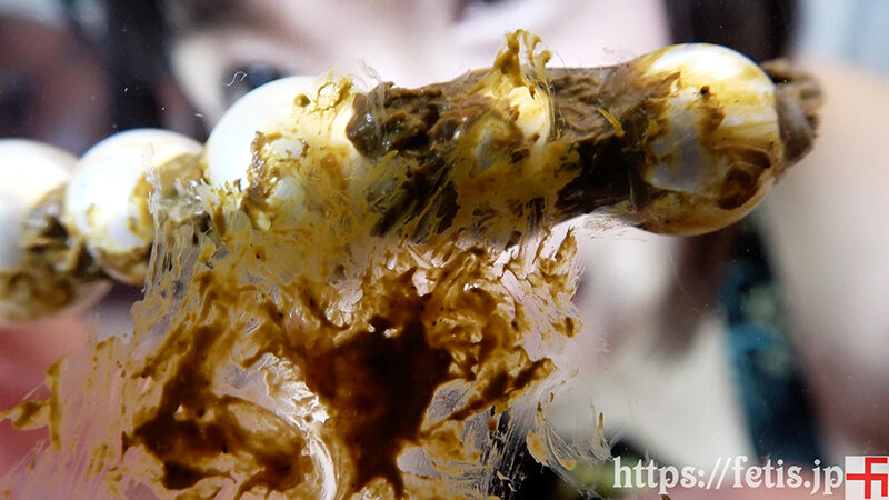 サンプル画像 15