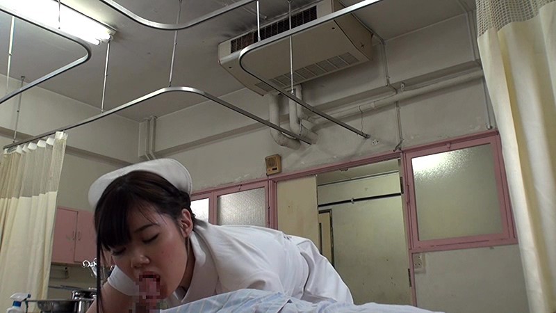 サンプル画像 12