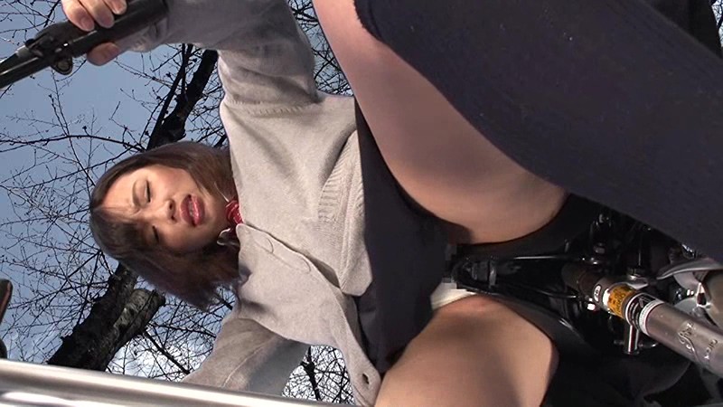 サンプル画像 12
