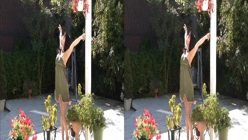 サンプル画像 3