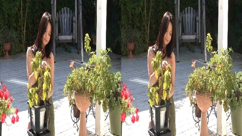 サンプル画像 4