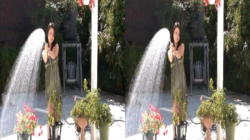 サンプル画像 6