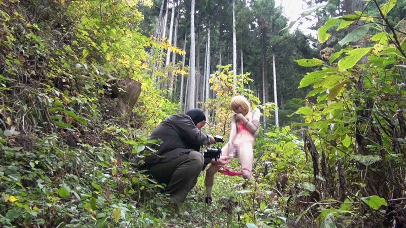 サンプル画像 12