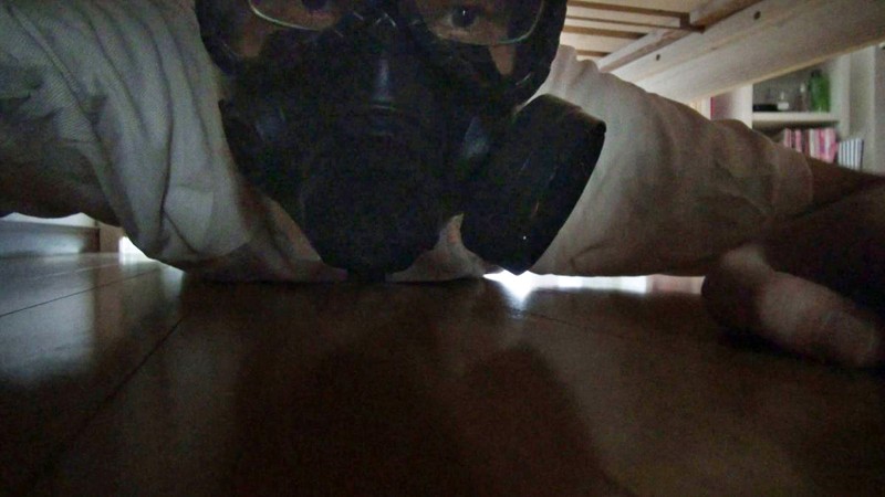 サンプル画像 2