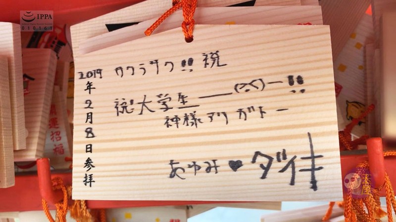 サンプル画像 5