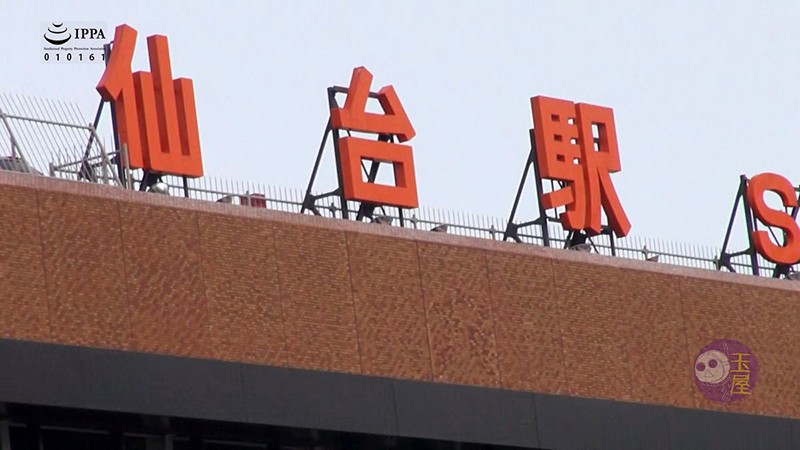 サンプル画像 2