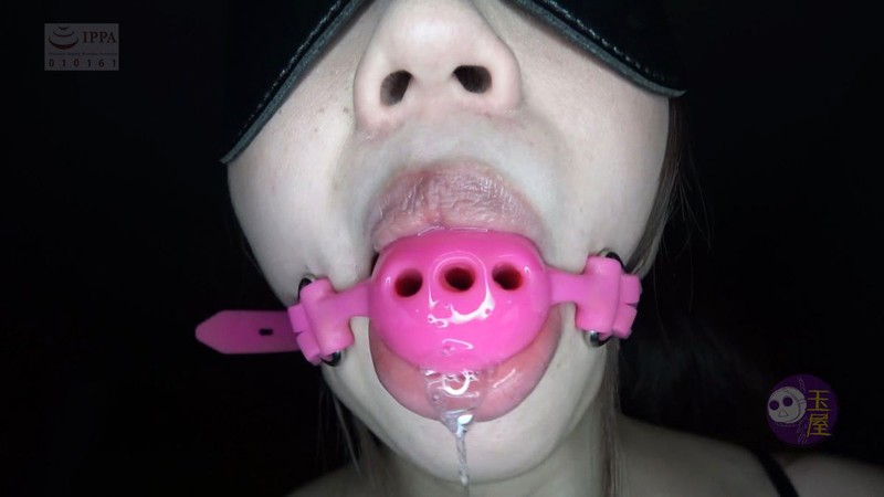 サンプル画像 15