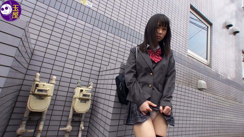 サンプル画像 16