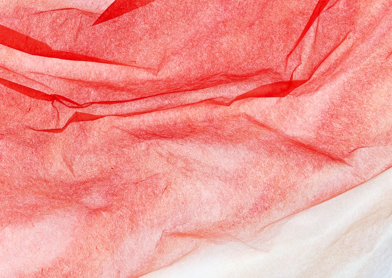 サンプル画像 18