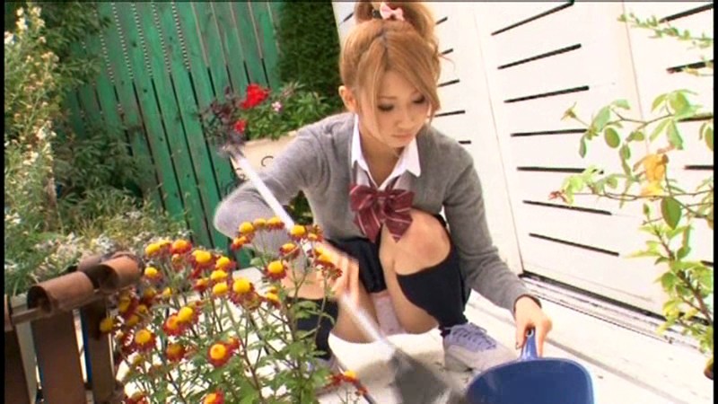 サンプル画像 3