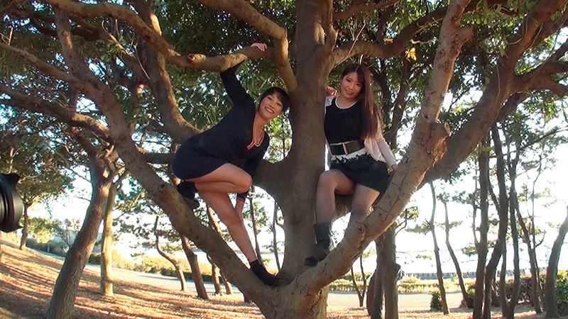 サンプル画像 3