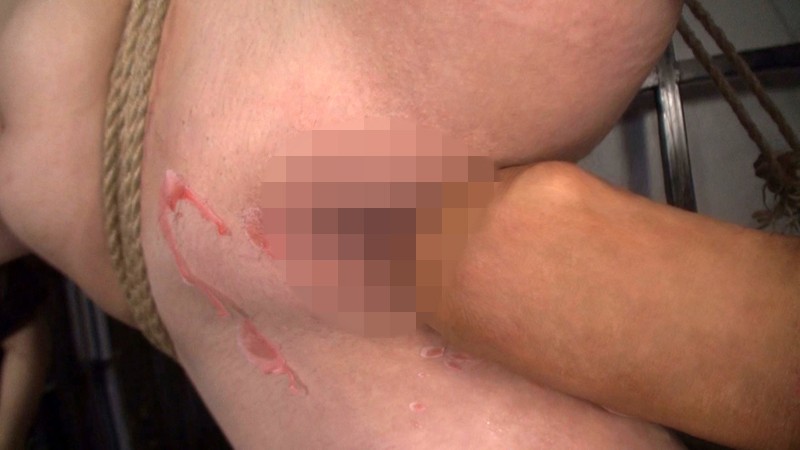 サンプル画像 11