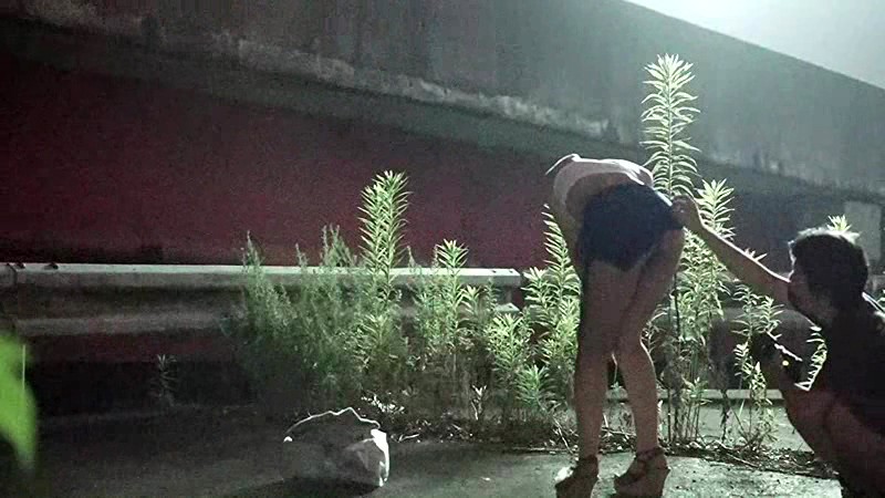 サンプル画像 3