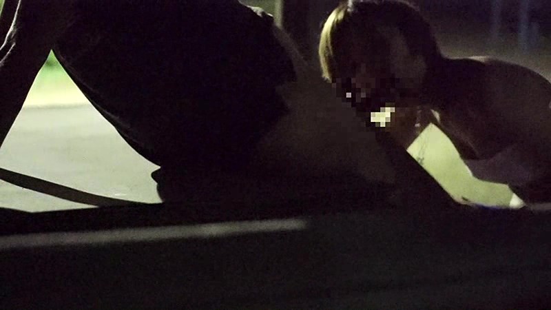 サンプル画像 6