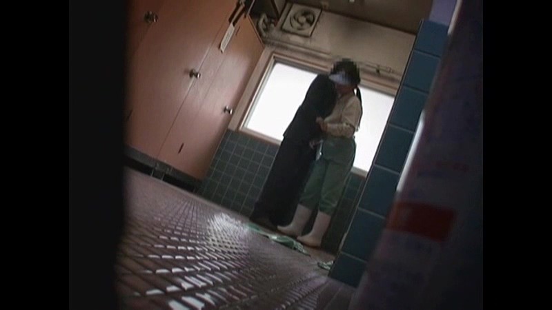 サンプル画像 14