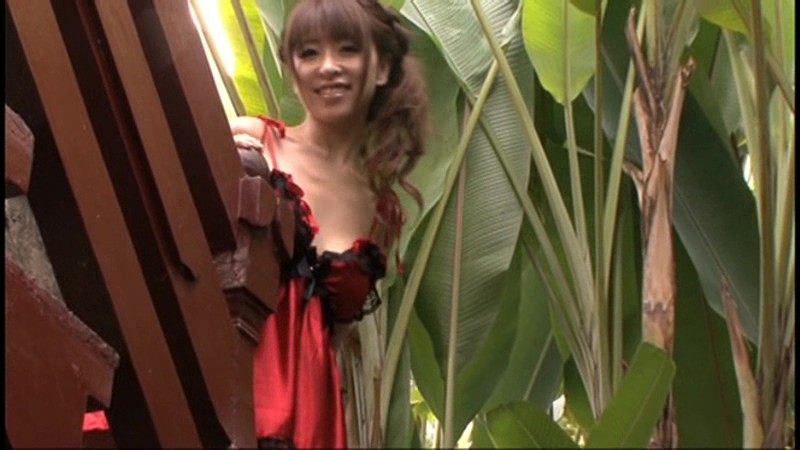 サンプル画像 13